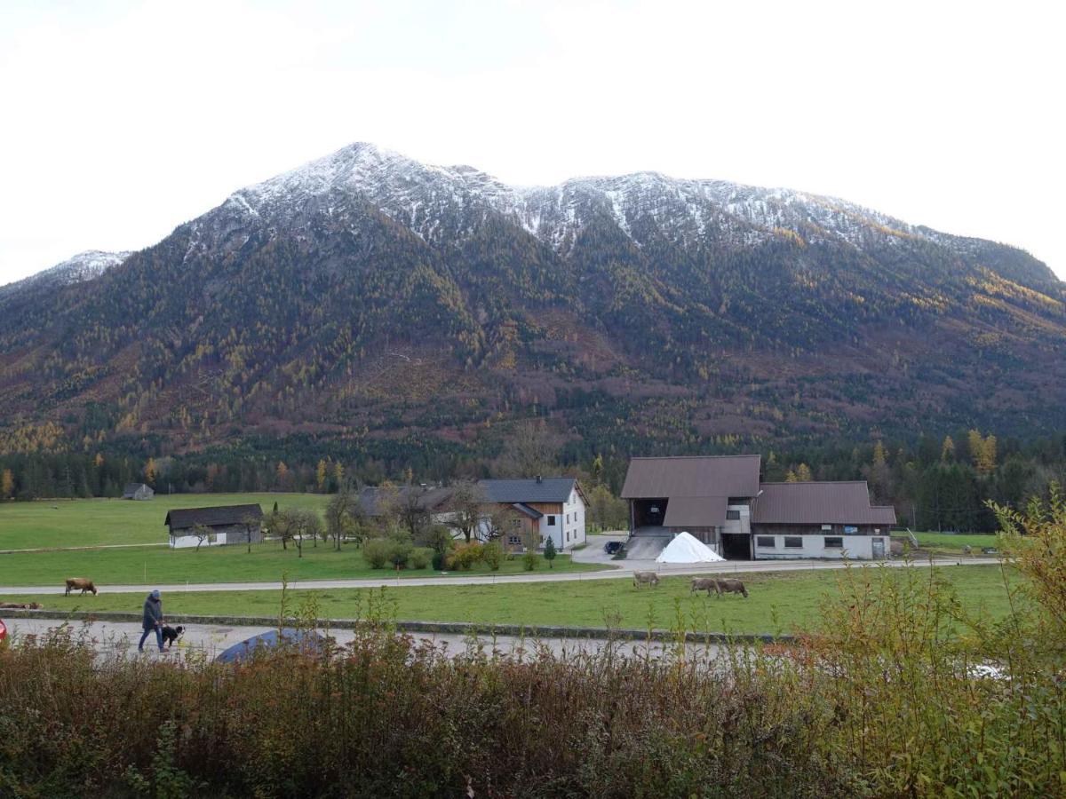 Studio In Bad Aussee/Steiermark 428 Экстерьер фото